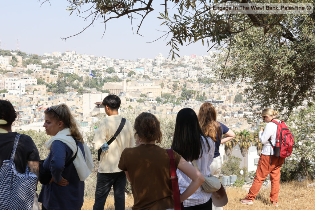 Best Volunteer Organizations in Palestine