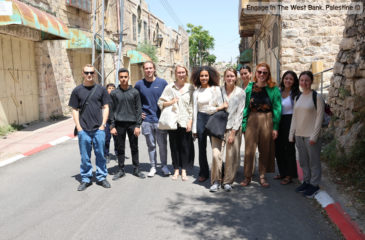 Best Volunteer Organizations in Palestine