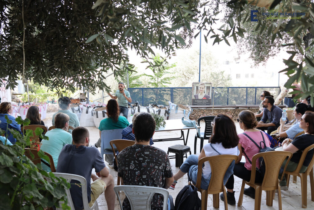 Volunteer in Local Palestinian Villages